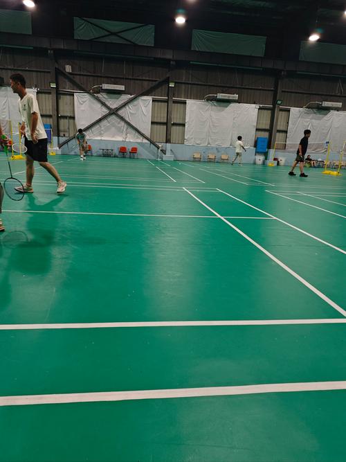 皇马苦战FIFA病毒.